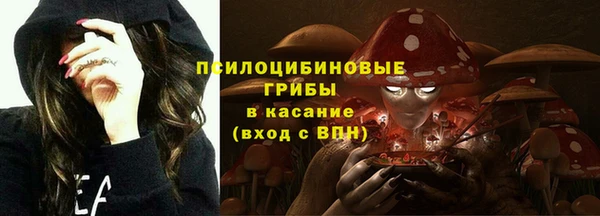 ПСИЛОЦИБИНОВЫЕ ГРИБЫ Дмитровск