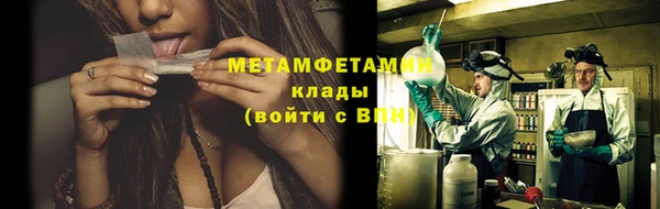 шишки Дмитриев