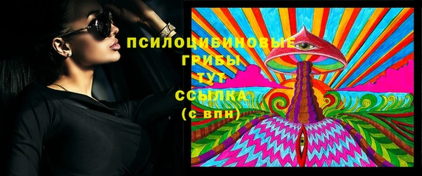 ПСИЛОЦИБИНОВЫЕ ГРИБЫ Дмитровск
