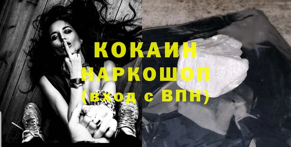 шишки Дмитриев