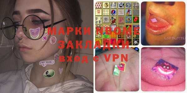 шишки Дмитриев