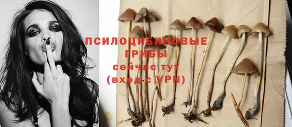 экстази Дмитров