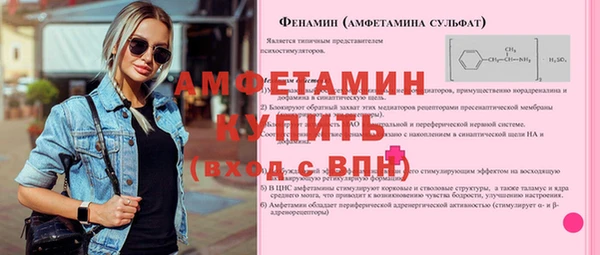 ГАЛЛЮЦИНОГЕННЫЕ ГРИБЫ Гусь-Хрустальный