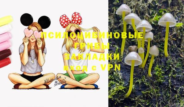 шишки Дмитриев