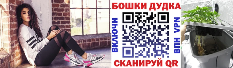 где продают   Красноярск  MEGA маркетплейс  МАРИХУАНА планчик 